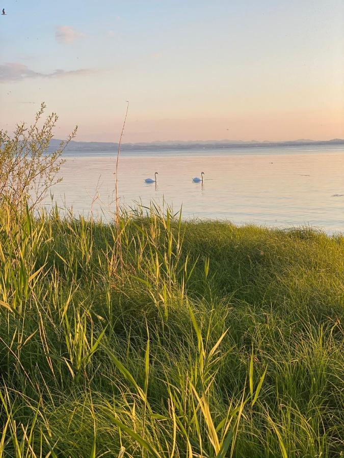 Wohlfuehl-Apartment Auenwald Im Naturschutzgebiet Mit Privatstrand 腓特烈港 外观 照片