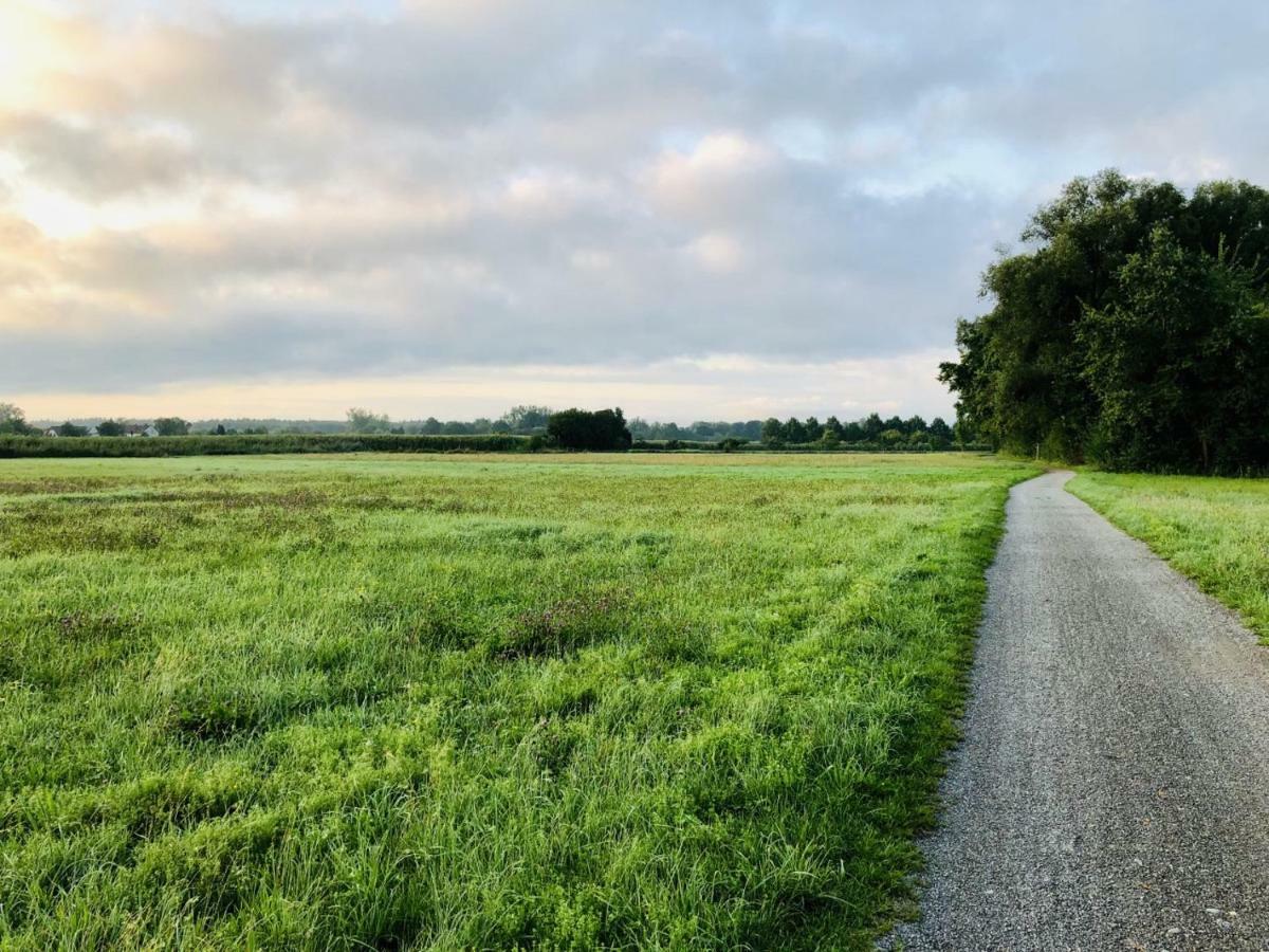 Wohlfuehl-Apartment Auenwald Im Naturschutzgebiet Mit Privatstrand 腓特烈港 外观 照片