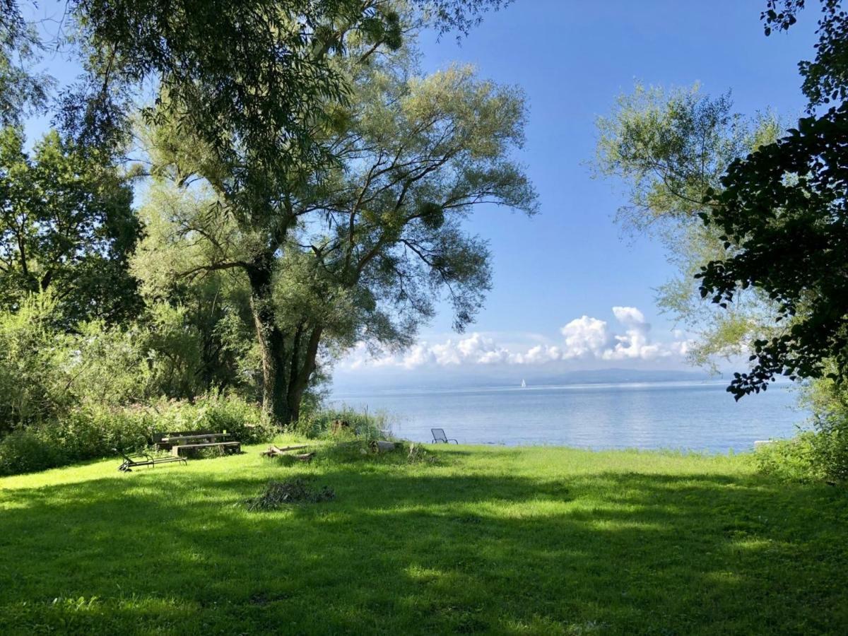 Wohlfuehl-Apartment Auenwald Im Naturschutzgebiet Mit Privatstrand 腓特烈港 外观 照片